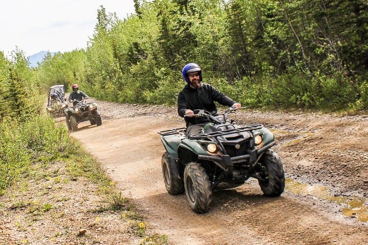סיבוב אטוויא ט Trailblazer דנאלי למשך 3.5 שעות
