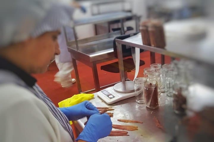 Santoña and Anchovy Factory tour from Santander - small groups