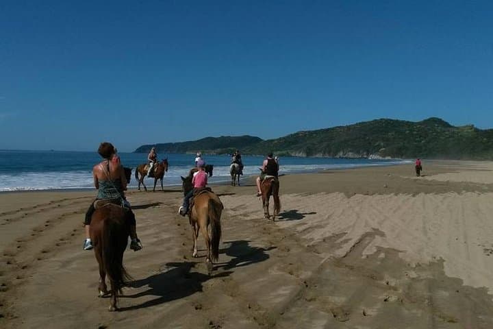 Horseback Riding on the Beach