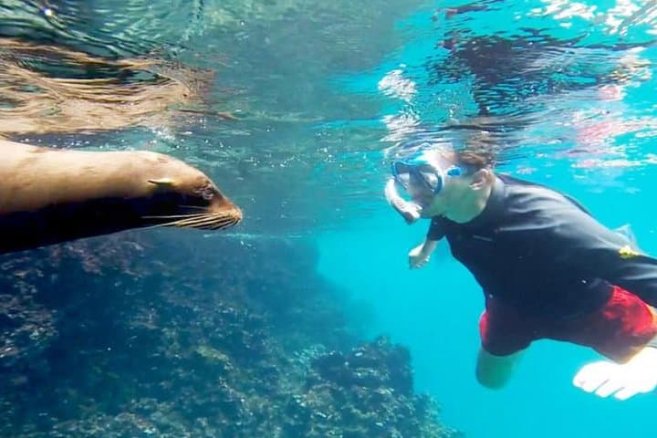 Full Day Santa Fe Playa escondida snorkeling tour