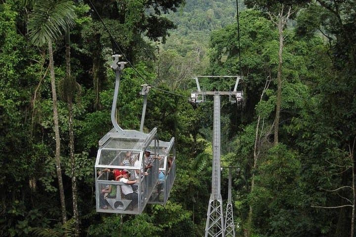 טיול חוף ליער הגשם ורגואה ולתעלות טורטוגרו