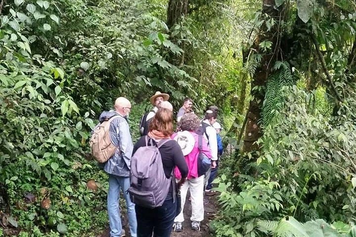 Full-Day Private Birding Tour in La Paz Refuge & Hummingbirds