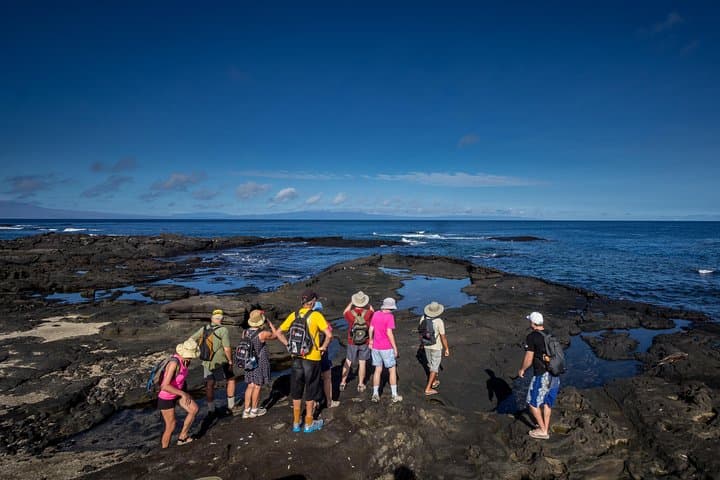 סיור יום מלא באי סיימור בצפון ובלאס באצ'ס