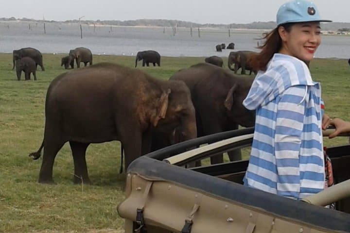 Minneriya luxury jeep safari 