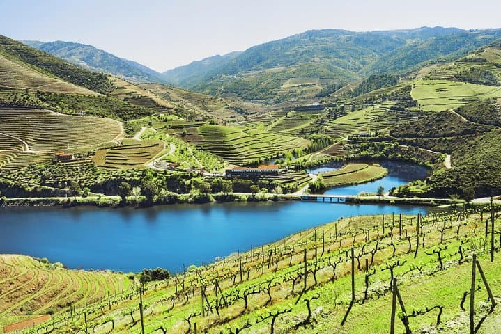 Authentic Small Group Douro Wine Tour with Lunch & River Cruise