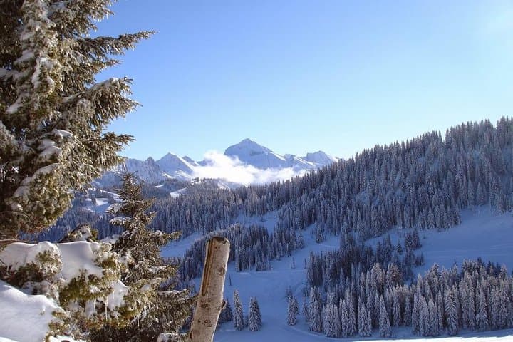חבילת מנאלי אקזוטית