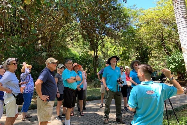 טור של 10 בחוויות בולטות של פונטארנס