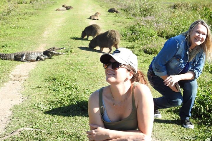 Iberá Wetlands Safari