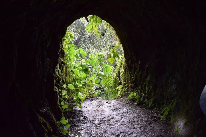 שבילי סוסים.