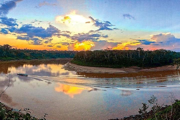 4 Day Tambopata Amazon Wildlife & Canopy Experience