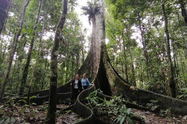 ג'ונגל מדהים 3 ימים 2 לילות - אמזון וונדר אקספדישנס