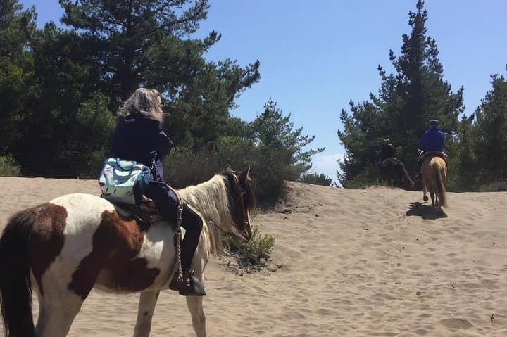 Horse Ride & BBQ in Ritoque Beach&Dunes FROM VALPO. Private Tour