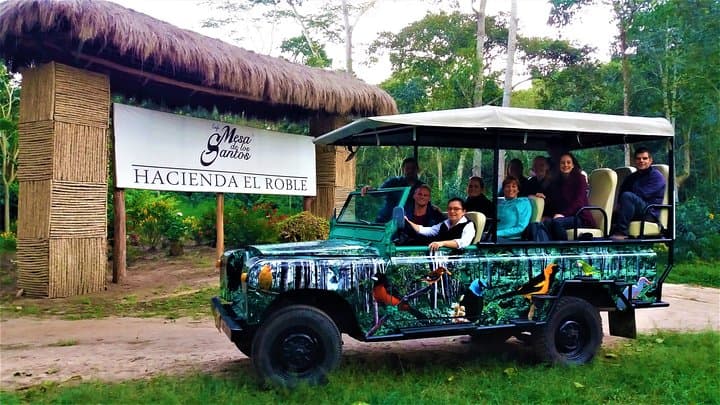 סיור פרטי - סיור קפה (גידולים)