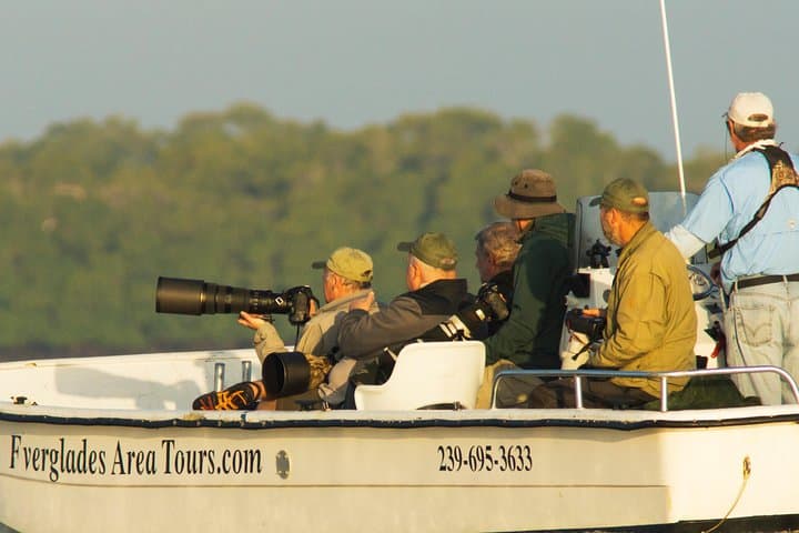 Two-Hour Everglades Dolphin, Manatee and Birding Boat Tour