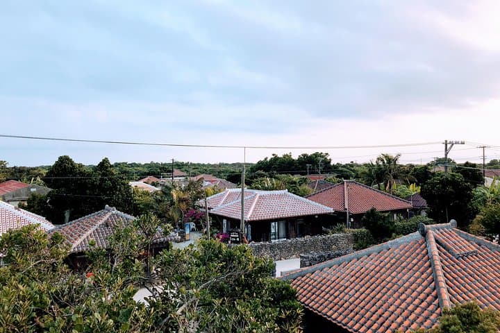 סיור הליכה באי טאקטומי עם מדריך אי