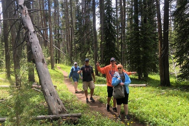 אוצרות מוסתרים פרטיים של ציון הצהוב! ארוחת צהריים עם הליכות ידידותיות למשפחה включות!