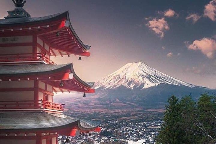 Private Tour to Mt. Fuji and Hakone (Fully Licenced Operator)