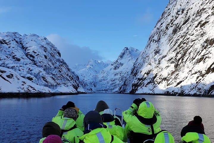 Trollfjord and Sea Eagle Safari Tour from Svolvaer