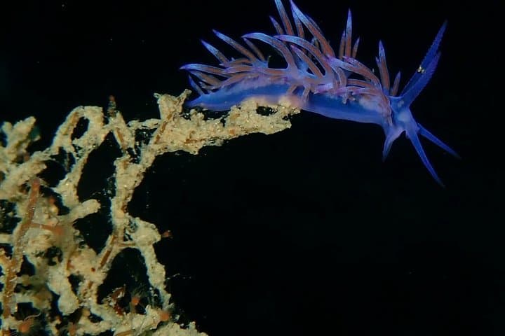 Nima Diving Center, Naxos, Greece
