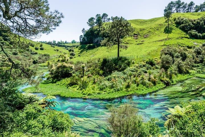 Romantic Private tour in Hamilton