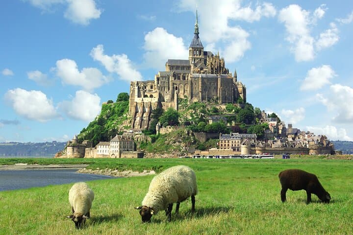 Mont-Saint-Michel from Honfleur | Private Tour | Guide Optional