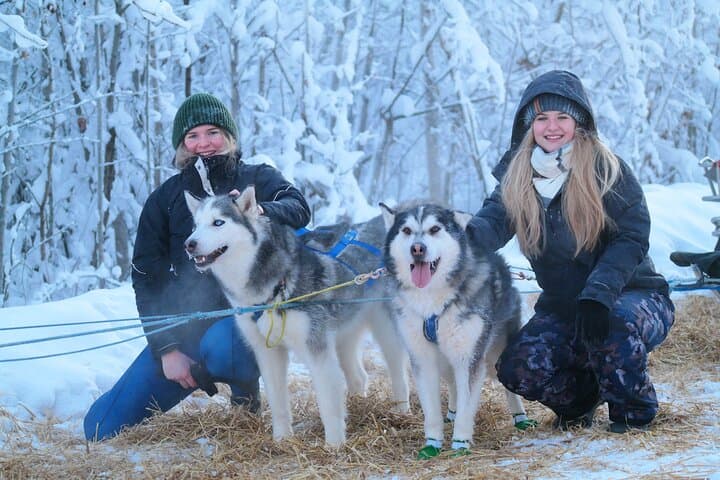 Free Pickup/Drop off: Alaskan Husky Dog Sledding with Free Photo