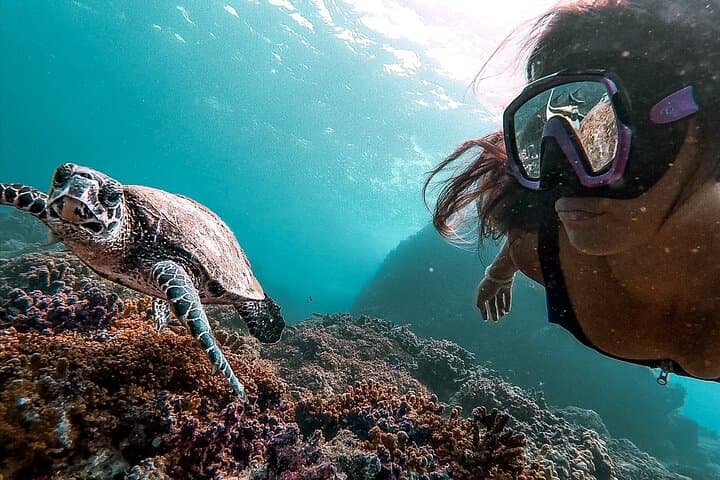 Caño Island all inclusive Snorkeling Tour in small groups