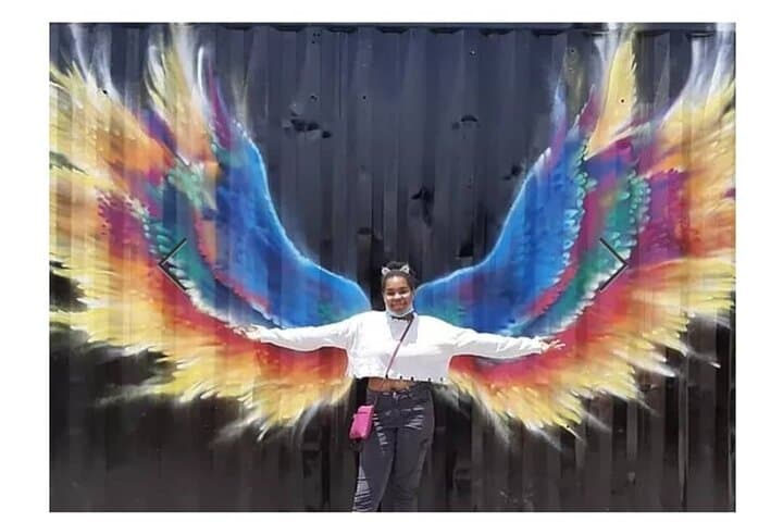 סיור תמונות ציורי קיר סנט מארטן ההולנדית