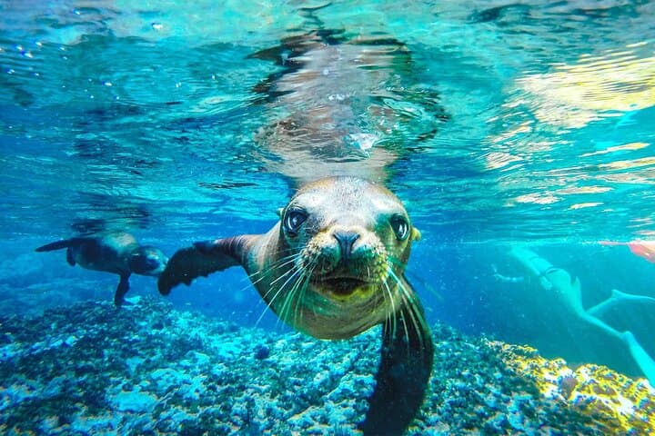 אתר מורשת עולמית של אונסקו: הרפתקת יום אחד באי קורונדו מלורטו.