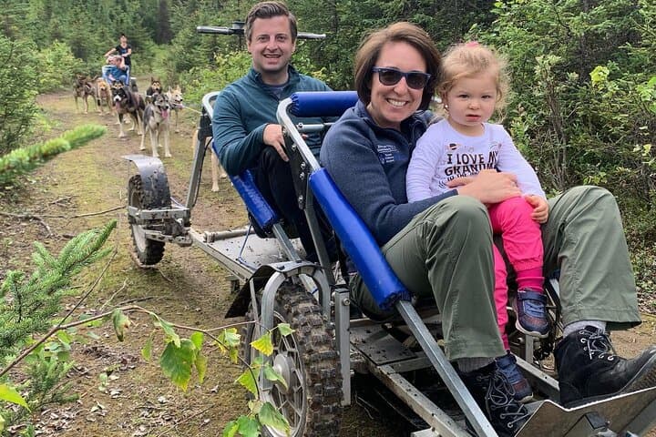 הרפתקת מזחלת כלבים בקיץ בוילואו, אלסקה