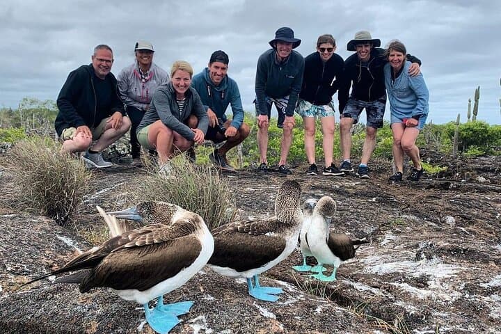 סיור יום שלם במנהרות הלבה מהאי איזבלה