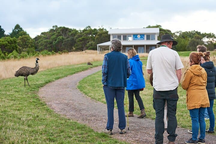 סיור דסק דיסקברי