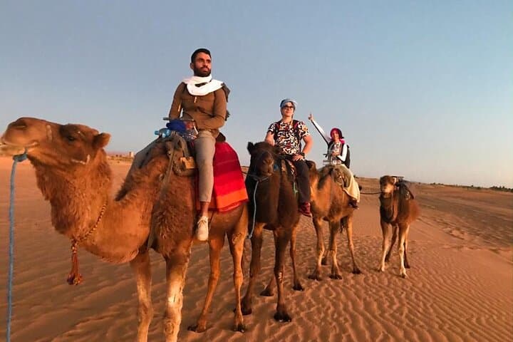 Exclusive Merzouga Desert Safari: Camel Ride, Sandsurf & Dinner