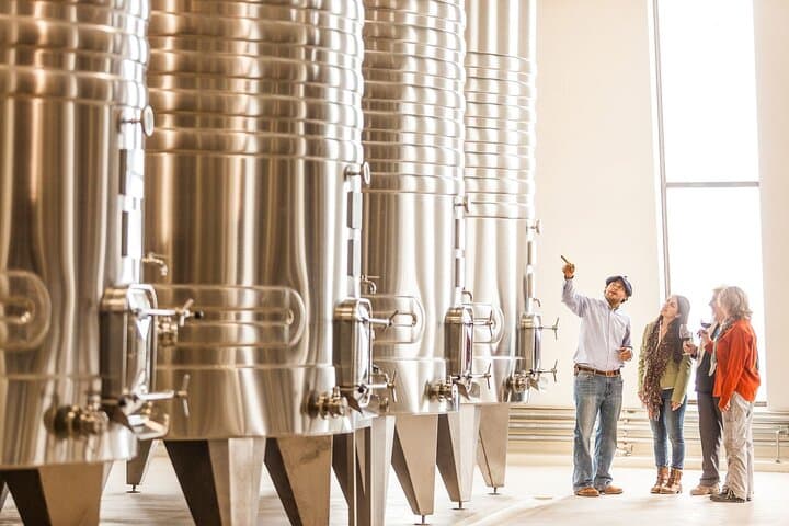 חשיפת קפאיאטה: הרפתקת דרך היין הפרימיום