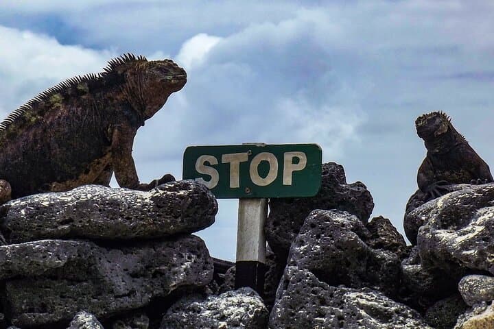 סיור יום מלא באי פלוראנא כולל טיולים רגליים ושנורקלינג