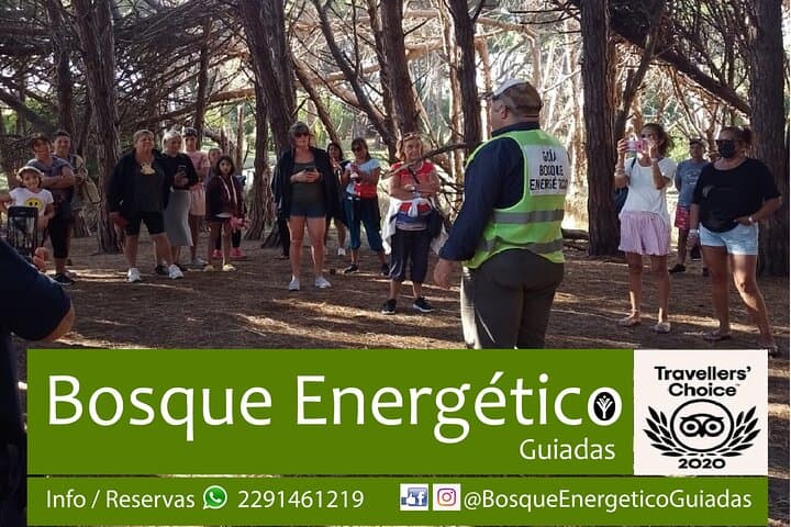 יער אנרגטי: סיור מודרך