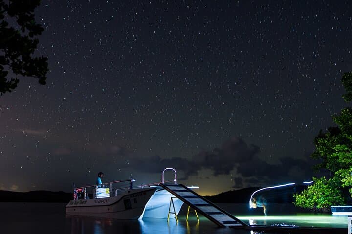 Bioluminescent Boat Tour in Mosquito Bay, Vieques