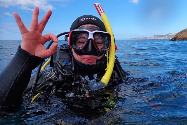 Lisbon: Try Scuba Diving in Arrabida Marine Reserve with photos