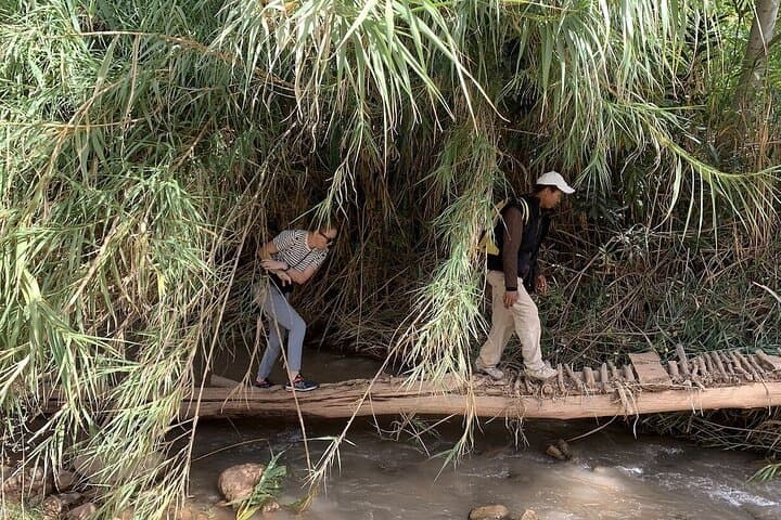 טיולים ו climbing בקניוני דדס
