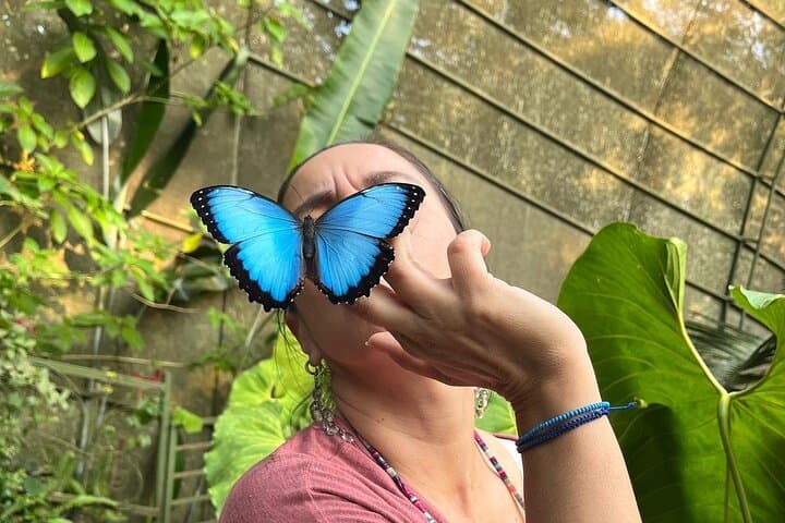 Admission to Andoke Butterfly Center in Cali with Release Ritual