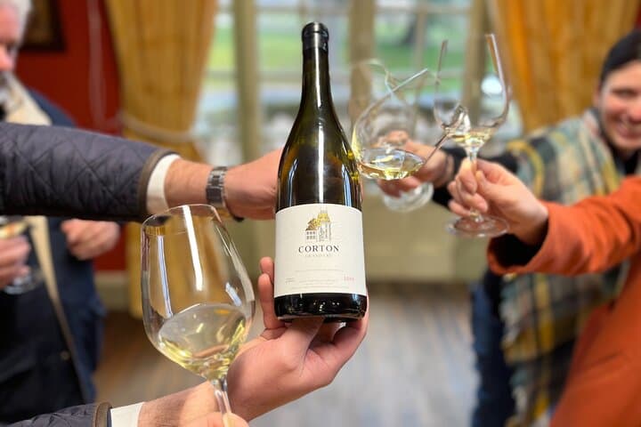 סיור יומי בנתיב הגרנד קרו של בורגון - 14 טעימות יין בדומיינים