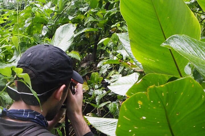 Amazon Conscious Adventure: 5-Day Trek, Kayak & Wildlife