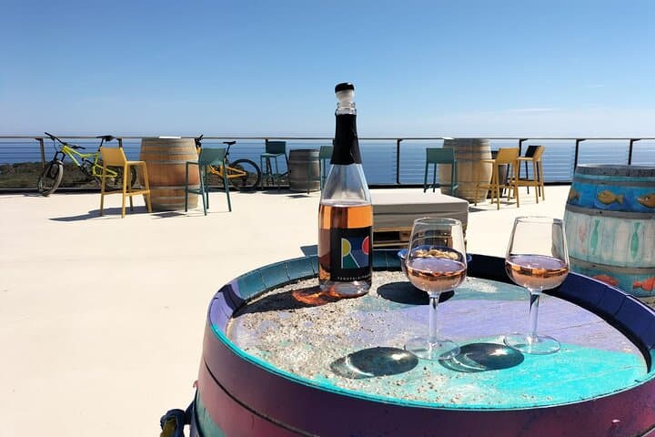 E-bike tour with Wine Tasting at Tenuta delle Ripalte