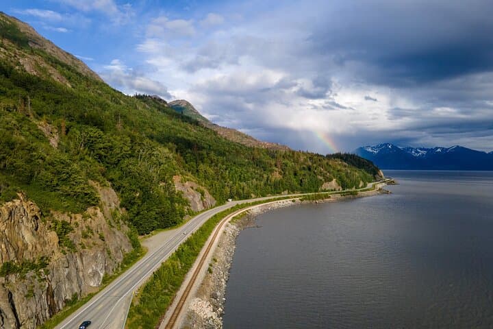 Seward to Anchorage Cruise Transfer & Wildlife Tour