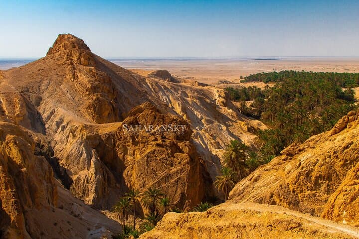 סיור פרטי בתוזור לחצי יום: קניוני תמרזה, שביקה ומידס