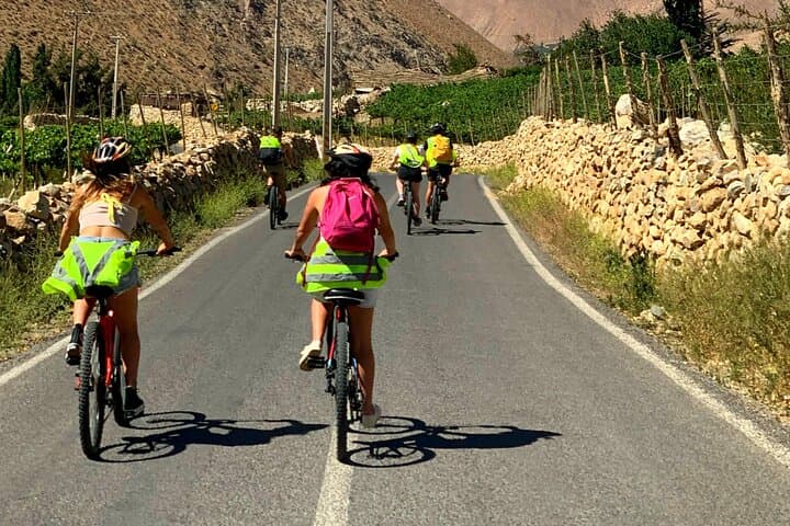 Bike Tour, Elqui Valley
