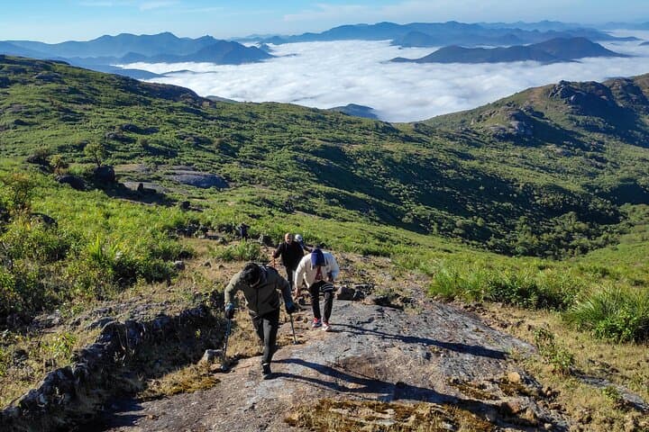 טרק ג'ינדאגדה