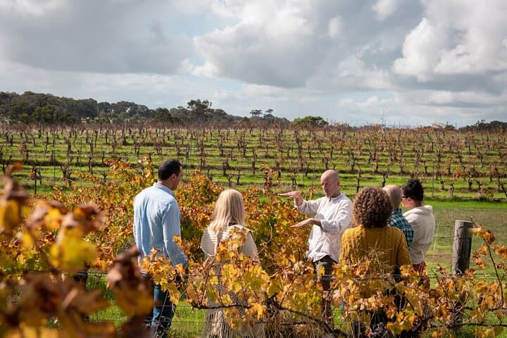 Hidden Gems: Boutique Full-Day Wine, Farm & Lunch Tour