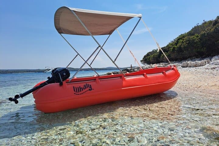 Visit of the most beautiful aquarium of Guadeloupe By boat Without a permit