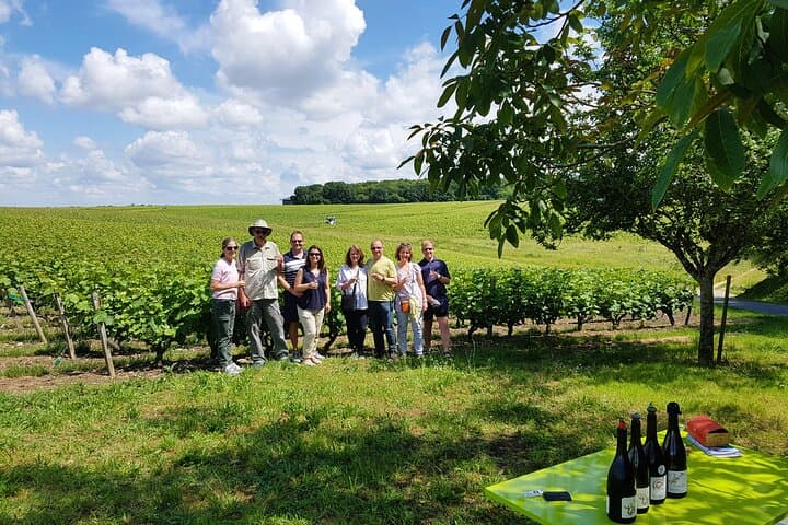 Loire Valley Half Day Wine Tour from Tours : 2 local wineries